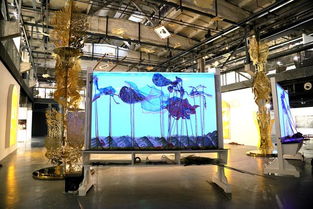 不息——第57届威尼斯国际艺术双年展中国馆上海站开幕，艺术表演场馆管理服务助力文化交流