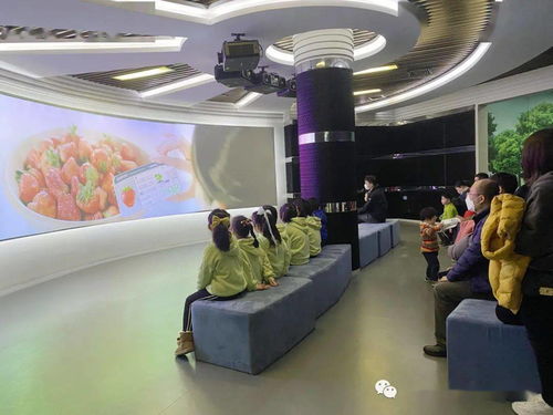 走进石化厂馆 科普能源知识 前京小学二4中队 艺术表演场馆管理服务