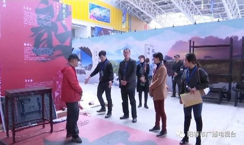 阳江市首届文化艺术博览会阳春馆 本土元素与艺术表演场馆管理服务解析